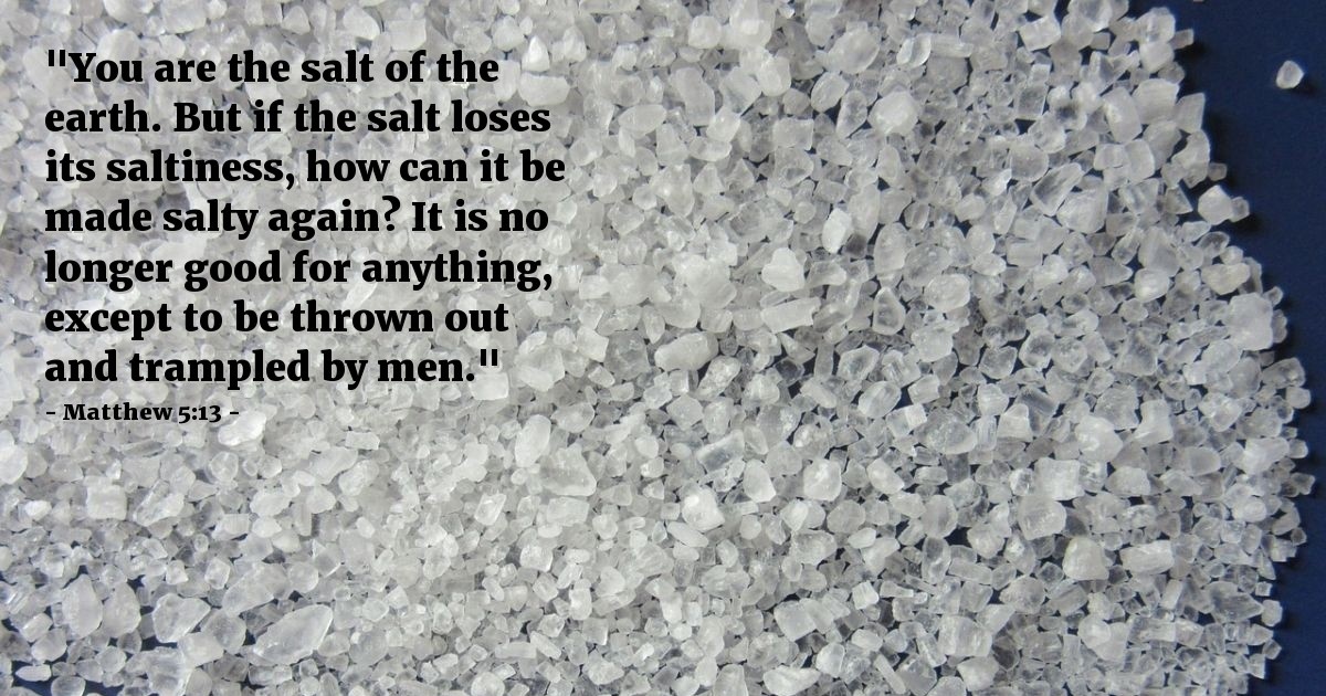 Matthew 5:13 — Verse of the Day for 05/12/2025