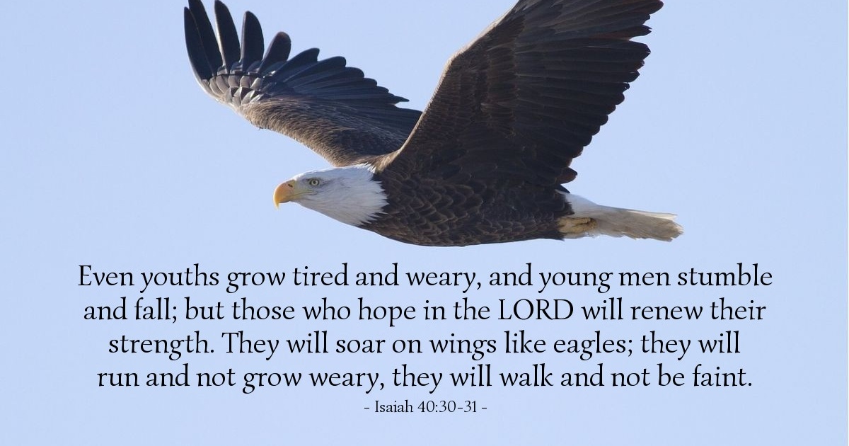 Isaiah 40:30-31 — Verse of the Day for 05/31/2025