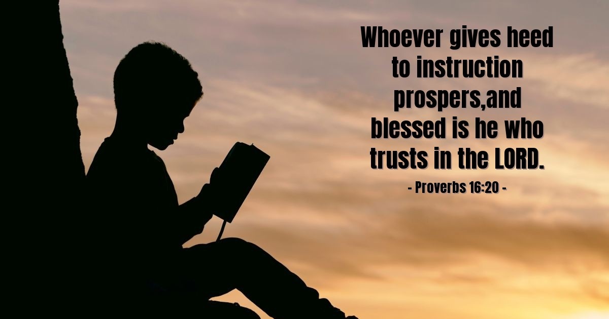 Proverbs 16:20 — Verse of the Day for 07/11/2025