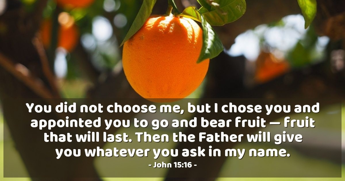 John 15:16 — Verse of the Day for 08/17/2025