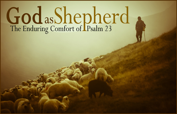 Psalm 23 Explained: The Shepherd’s Care in Scripture
