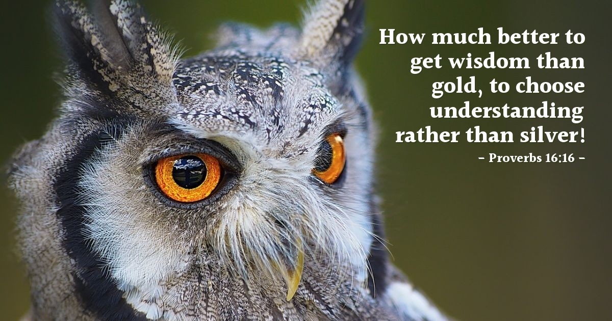 Proverbs 16:16 — Verse of the Day for 09/16/2025