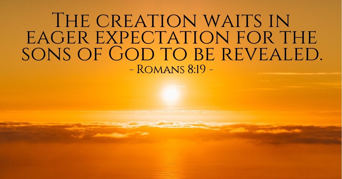 Romans 8:19 — Verse of the Day for 09/19/2025