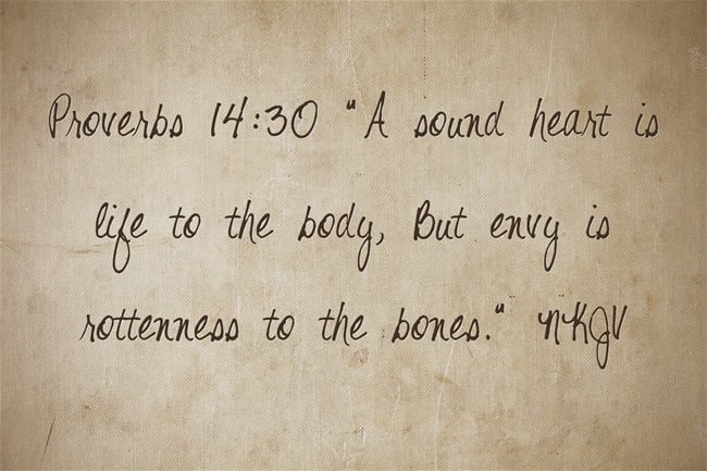 Devotional Thought: Guarding Against Envy