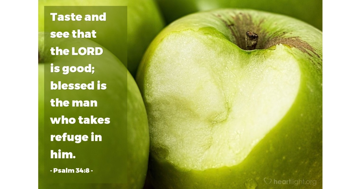 Psalm 34:8 — Verse of the Day for 10/08/2025