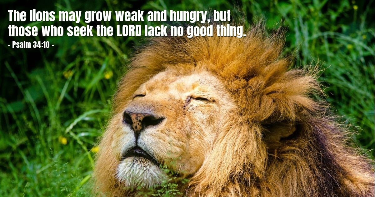 Psalm 34:10 — Verse of the Day for 10/10/2025