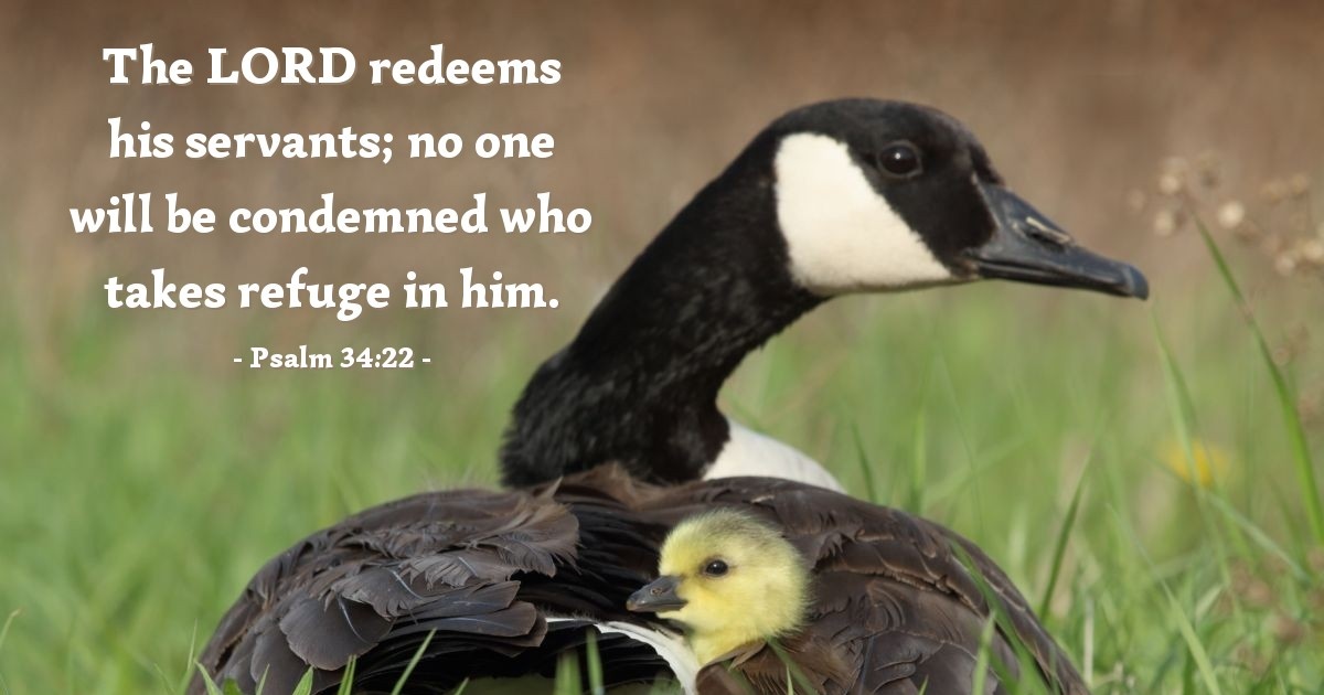 Psalm 34:22 — Verse of the Day for 10/20/2025