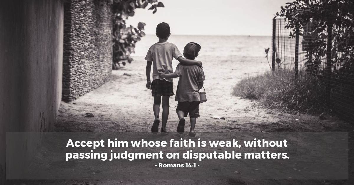 Romans 14:1 — Verse of the Day for 11/11/2025