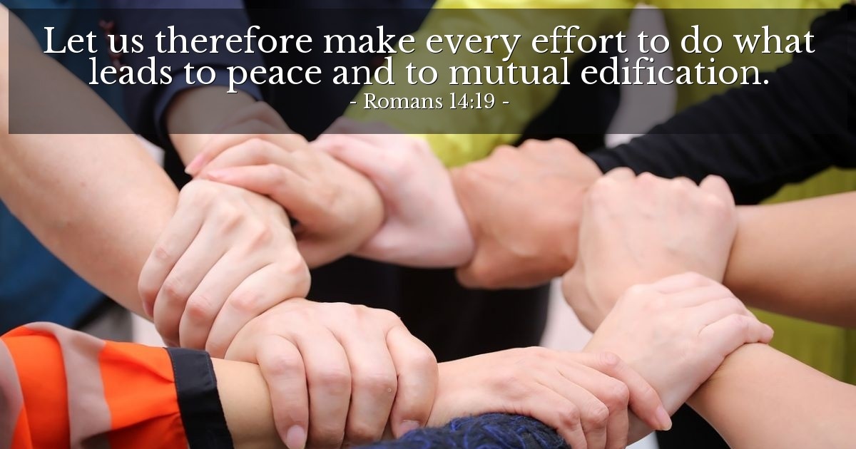 Romans 14:19 — Verse of the Day for 11/19/2025