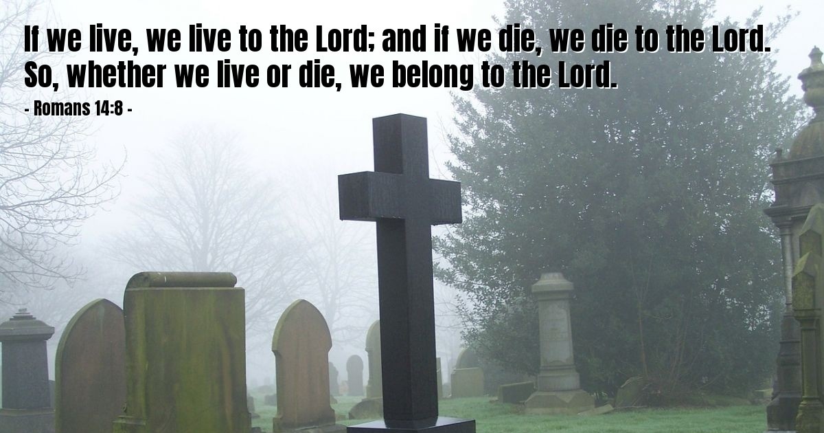 Romans 14:8 — Verse of the Day for 11/08/2025