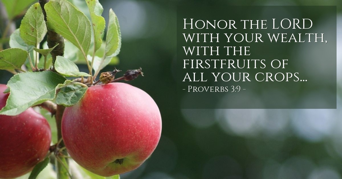 Proverbs 3:9 — Verse of the Day for 11/09/2025