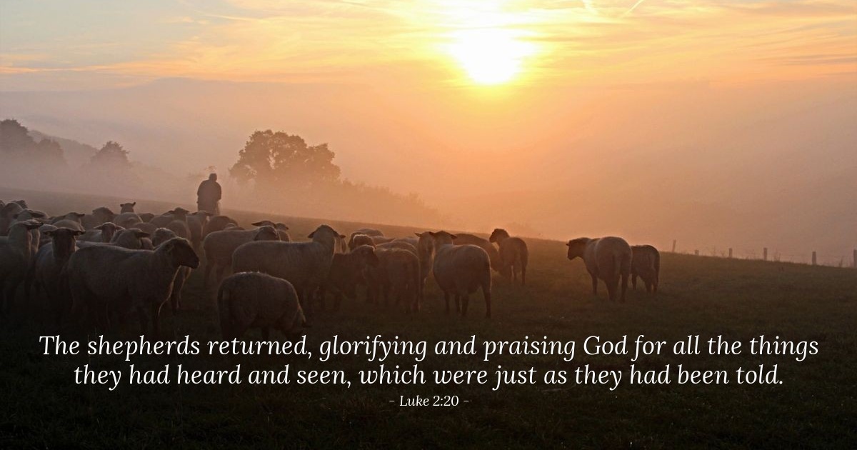 Luke 2:20 — Verse of the Day for 12/27/2025