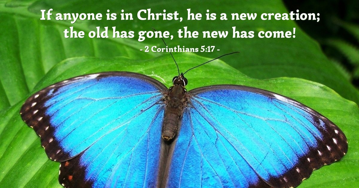 2 Corinthians 5:17 — Verse of the Day for 01/01/2026