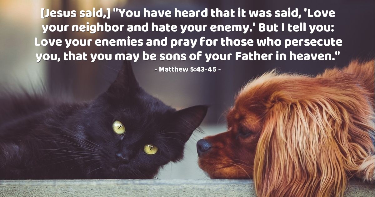 Matthew 5:43-45 — Verse of the Day for 02/08/2026